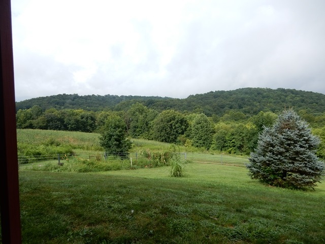 13353 State Road 145, Tell City, IN 47586 photo 19
