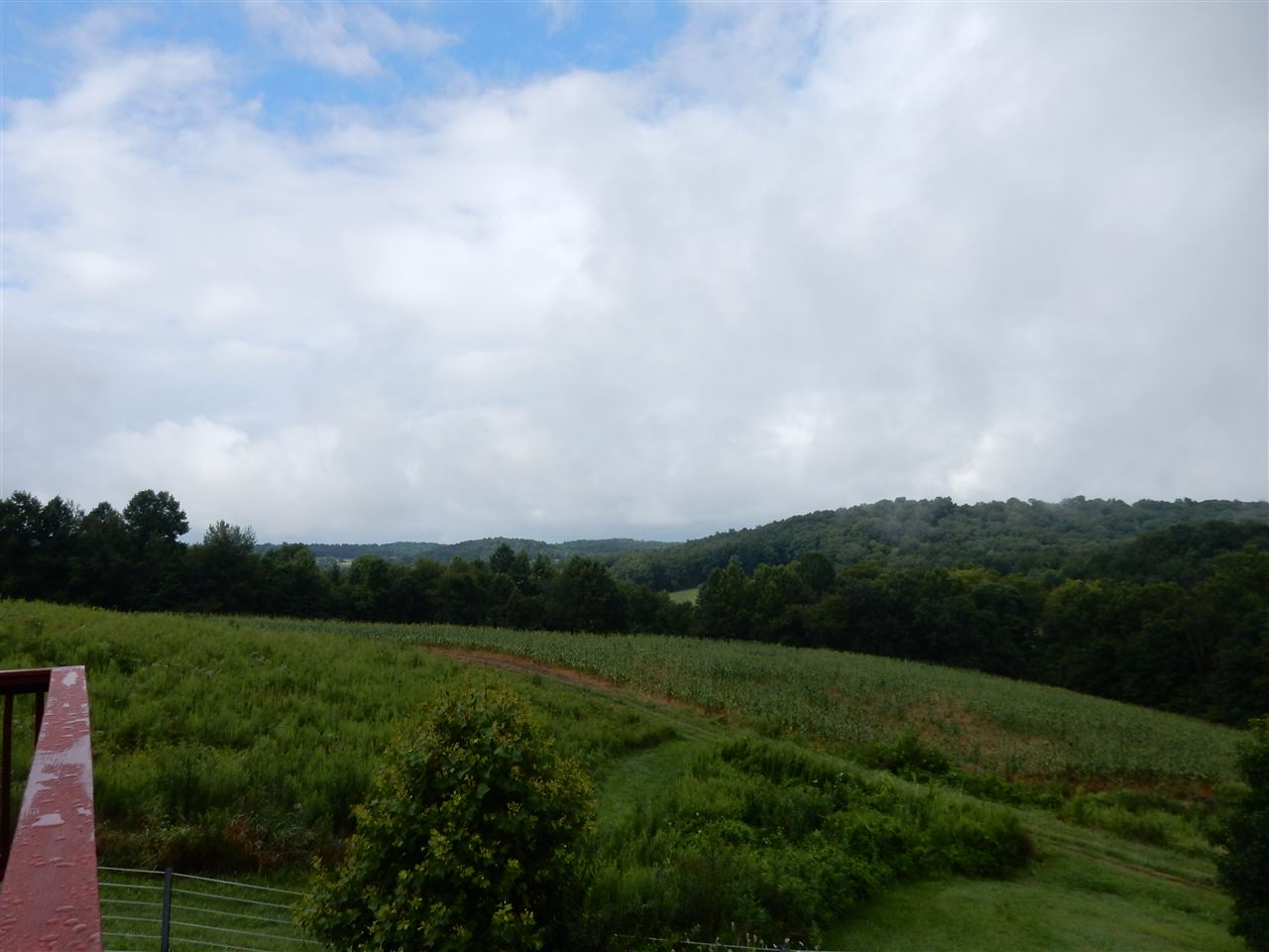 13353 State Road 145, Tell City, IN 47586 photo 21