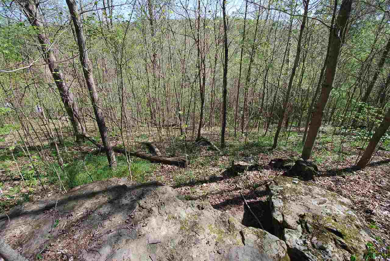 10543 E State Rd 56, French Lick, IN 47432 photo 27