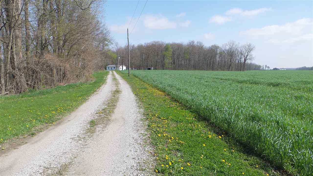 2075 County Road 49, Waterloo, IN 46793 photo 5