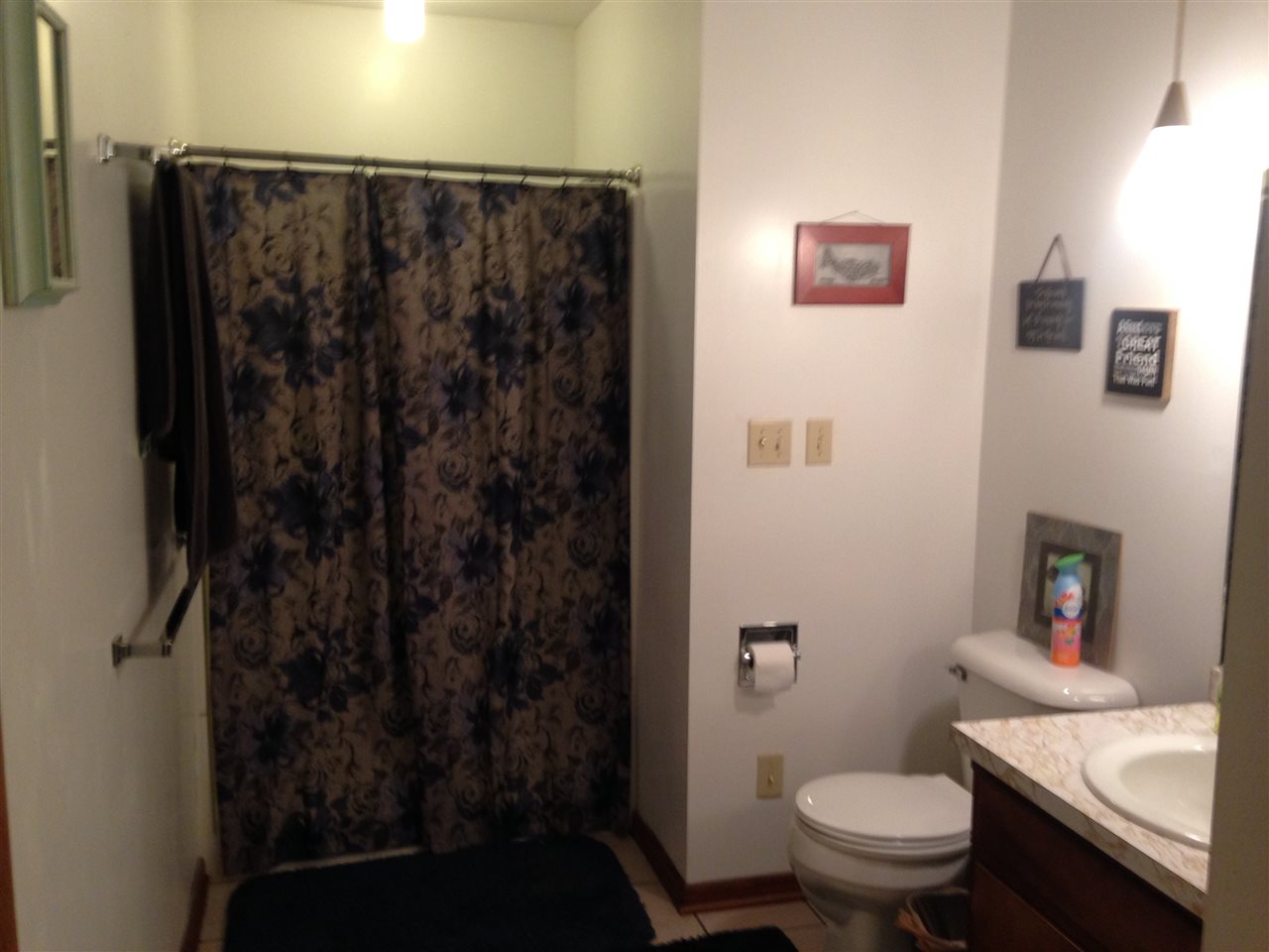 1001 Dogwood Dr, Rochester, IN 46975 photo 13