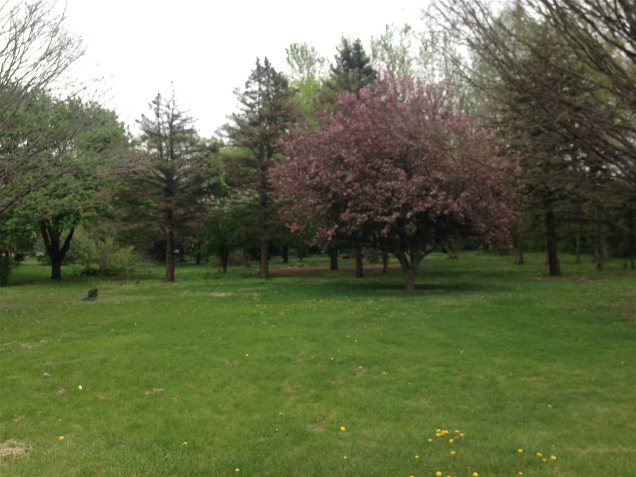 1001 Dogwood Dr, Rochester, IN 46975 photo 24