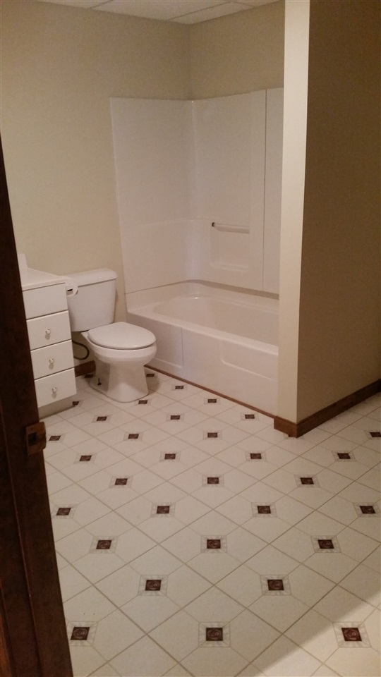 409 Steeplechase Dr, Auburn, IN 46706 photo 32