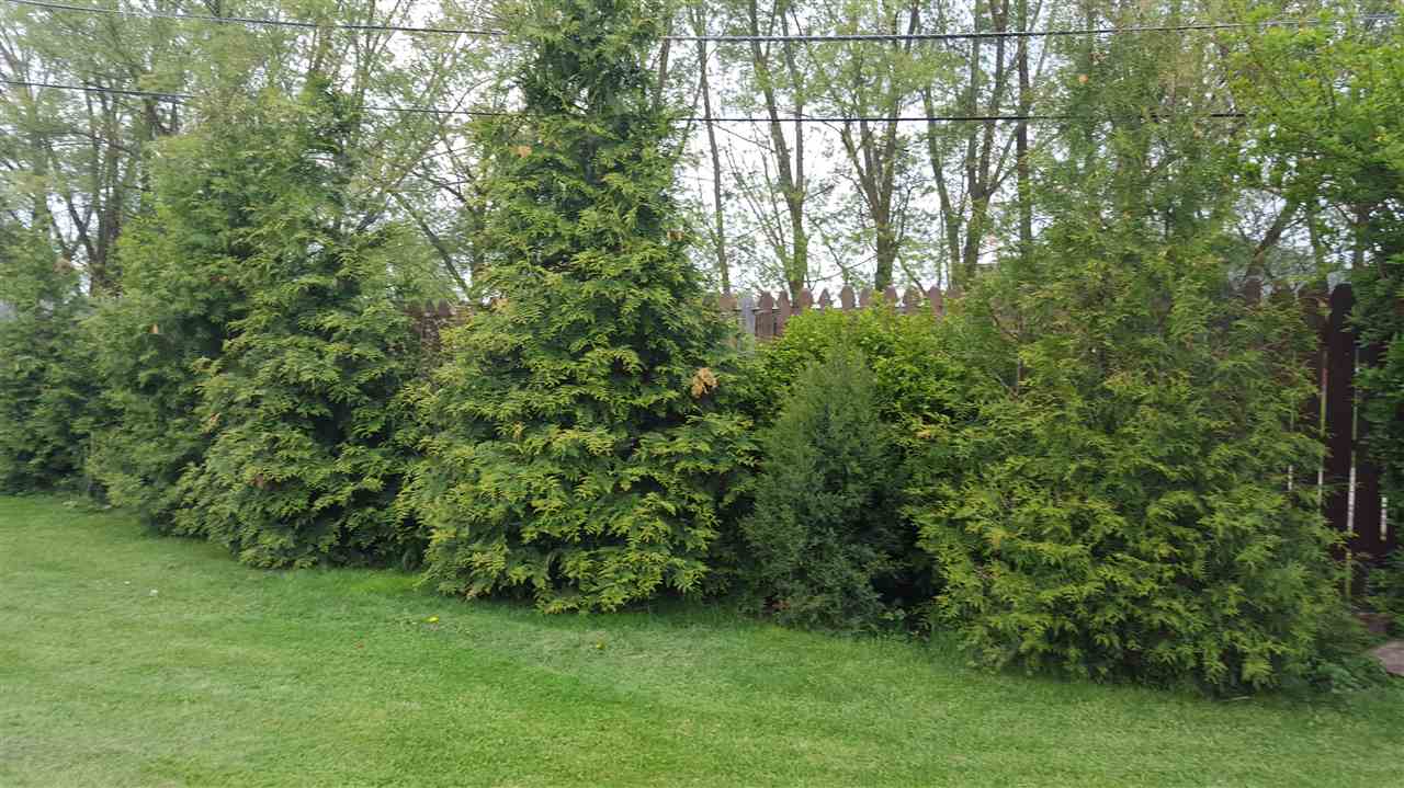 8318 Covington Rd, Fort Wayne, IN 46804 photo 32