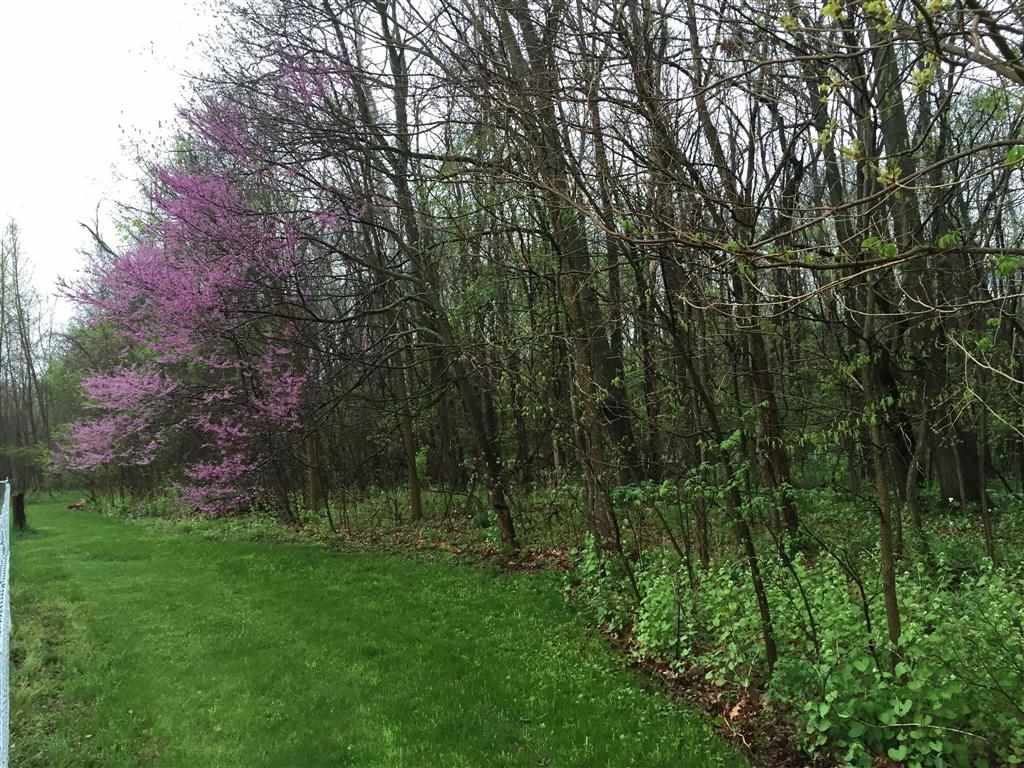 21042 Rivers Edge Dr, Goshen, IN 46528 photo 32