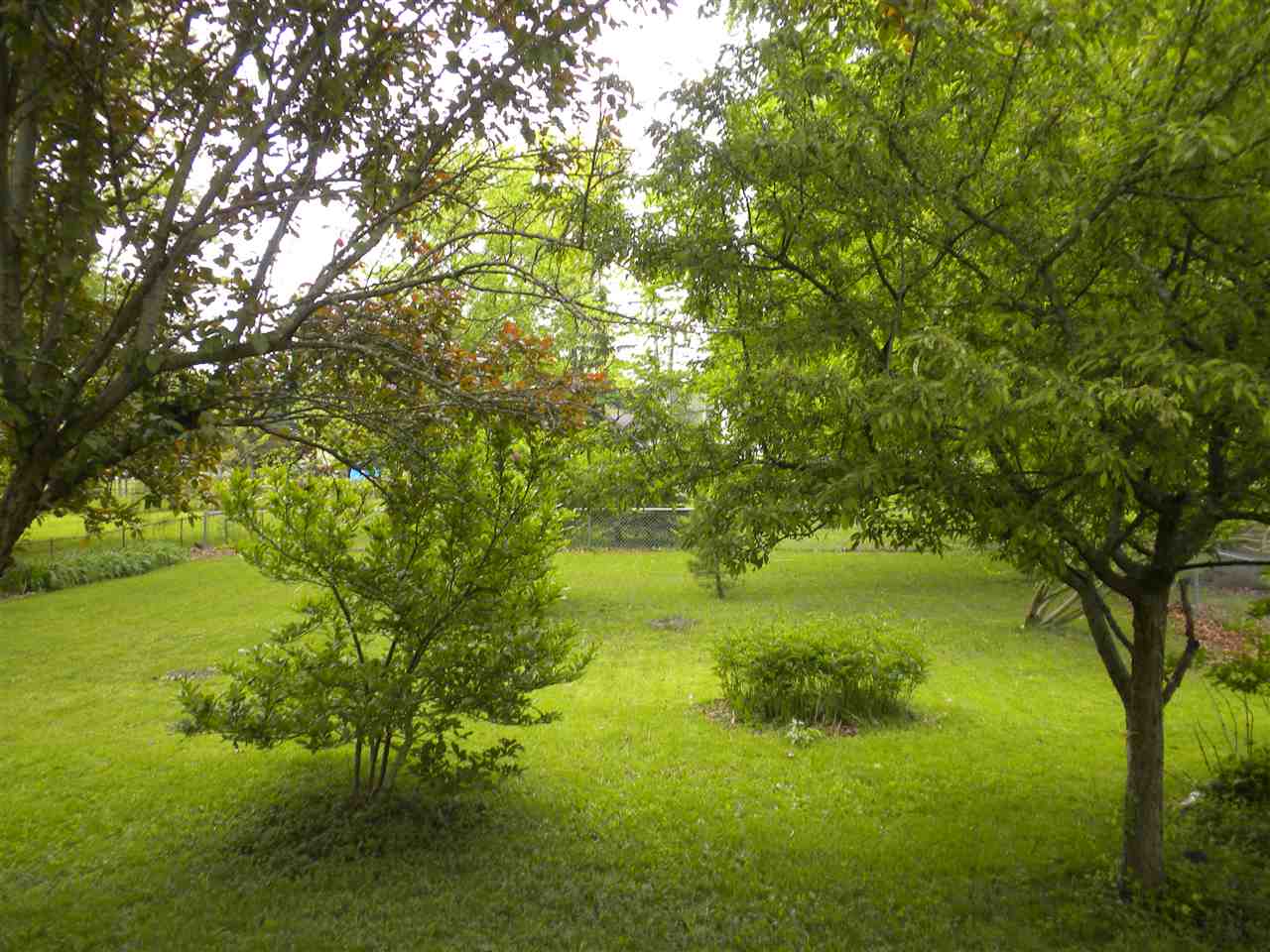 4312 E Paulding Rd, Fort Wayne, IN 46816 photo 4