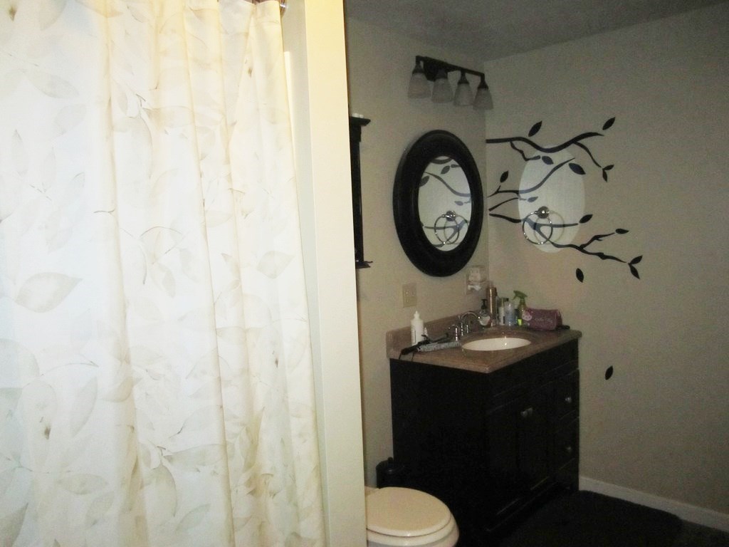 515 W Maple St, Waterloo, IN 46793 photo 14