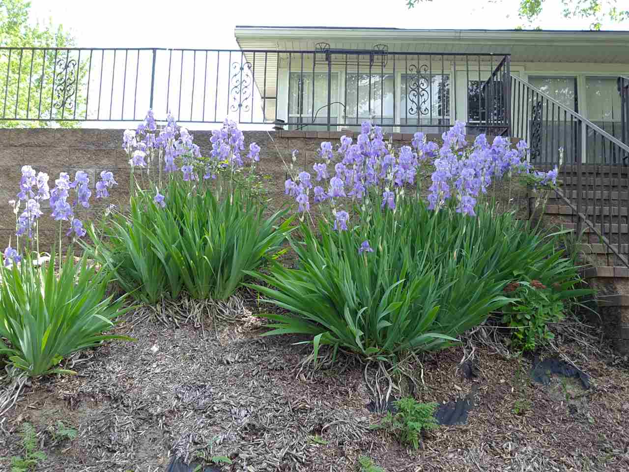 11417 N Goldilocks Ln, Cromwell, IN 46732 photo 18