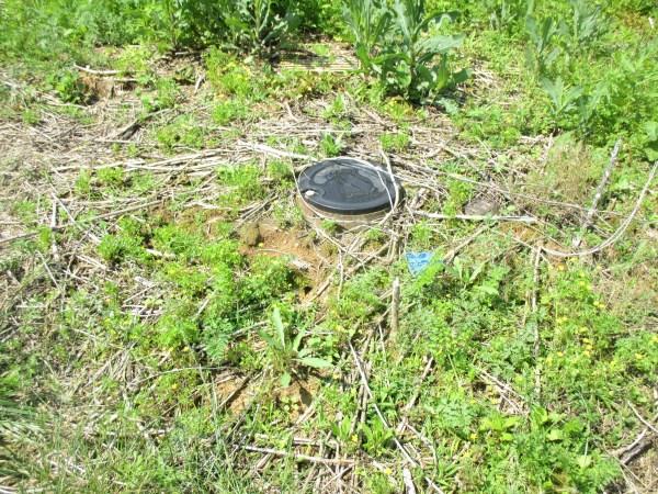 7773 E Holder Rd, Pekin, IN 47165 photo 35