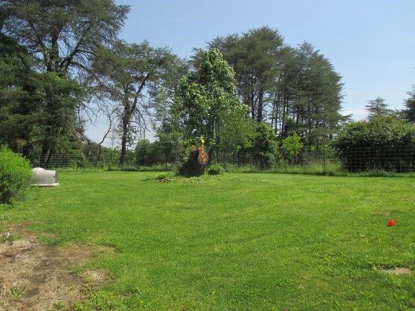 7773 E Holder Rd, Pekin, IN 47165 photo 23