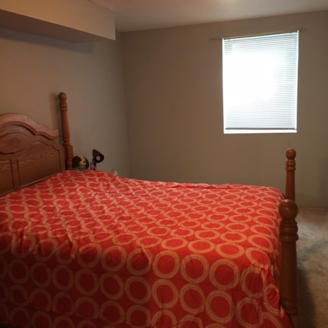 905 Eagle Blvd, Bristol, IN 46507 photo 24