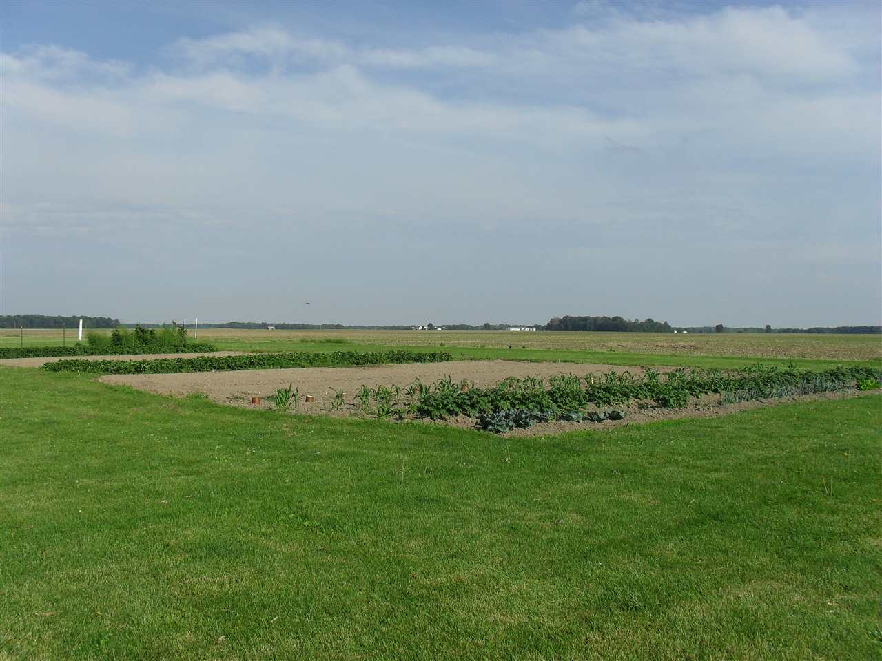 1256 E 250 S, Bringhurst, IN 46913 photo 19