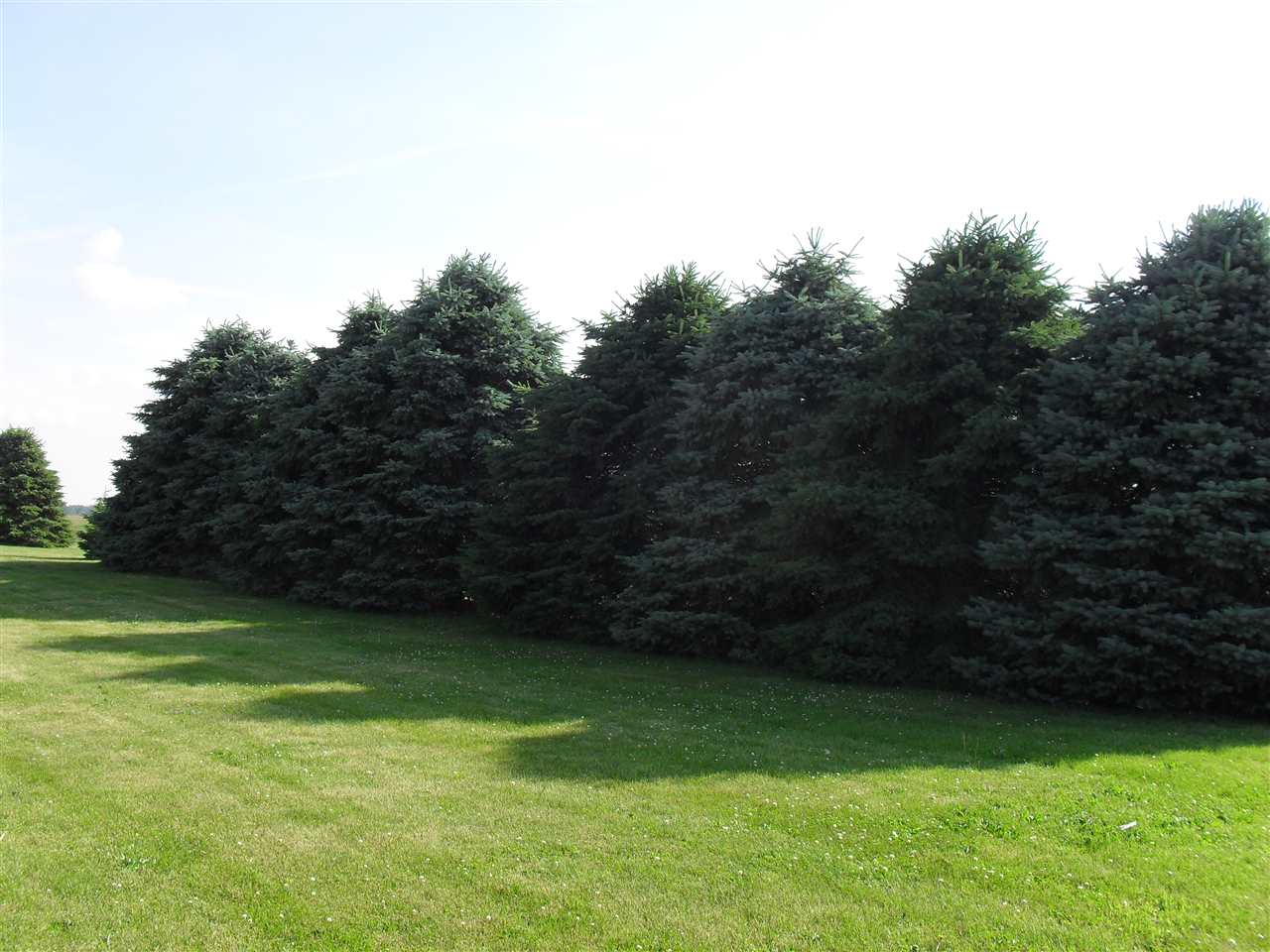 1256 E 250 S, Bringhurst, IN 46913 photo 18