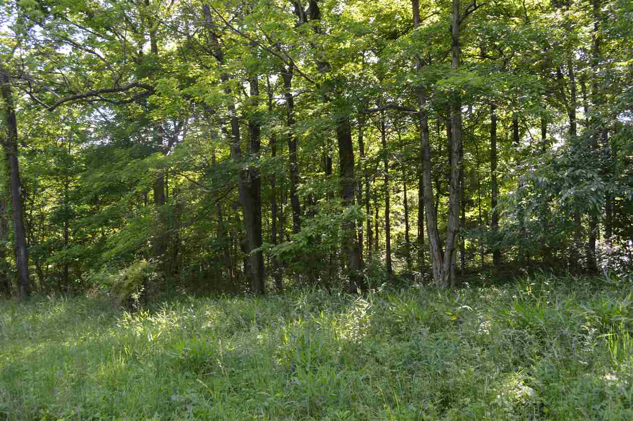 190 Tv Tower Rd, Mitchell, IN 47446 photo 27