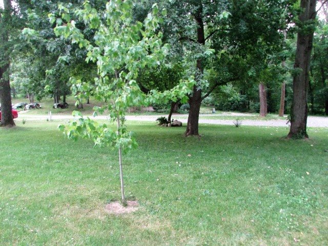 176 Ems R3e Ln, Pierceton, IN 46562 photo 24