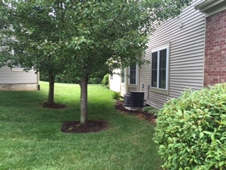 1007 S Fieldcrest Ct, Bloomington, IN 47401 photo 32