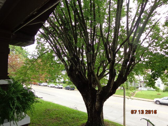 306 S Barker Ave, Evansville, IN 47712 photo 8