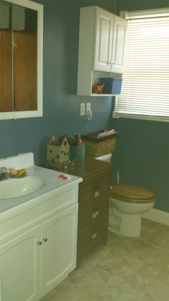 3226 County Road 45, Waterloo, IN 46793 photo 16