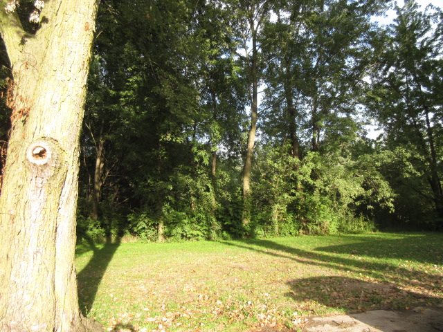 4705 Ardmore Ave, Fort Wayne, IN 46809 photo 18