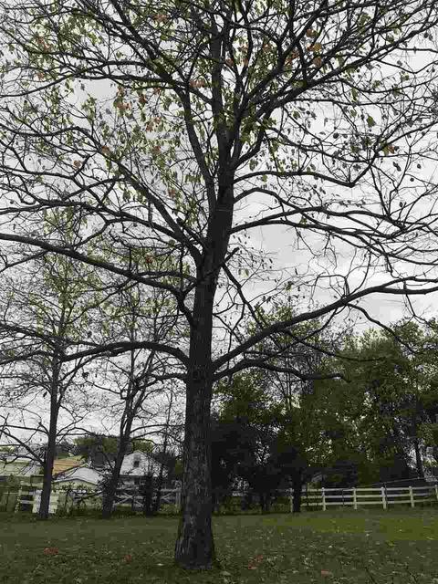 2029 30th St, Bedford, IN 47421 photo 21