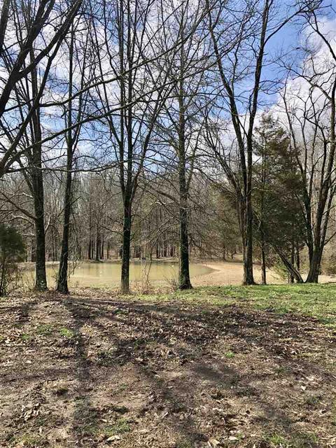 2458 Rabbitsville Rd, Mitchell, IN 47446 photo 30