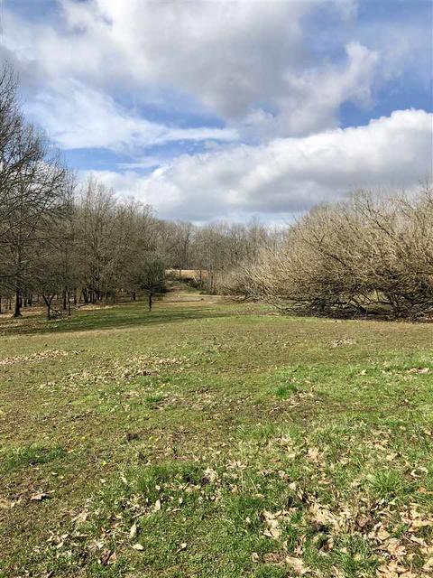 2458 Rabbitsville Rd, Mitchell, IN 47446 photo 29