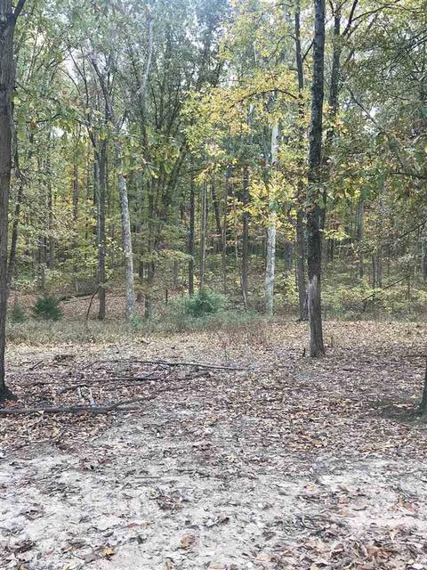 2458 Rabbitsville Rd, Mitchell, IN 47446 photo 13