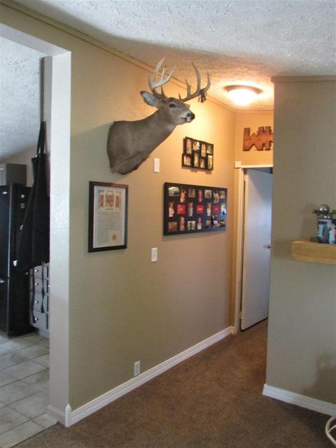 420 Dale St, Mitchell, IN 47446 photo 11