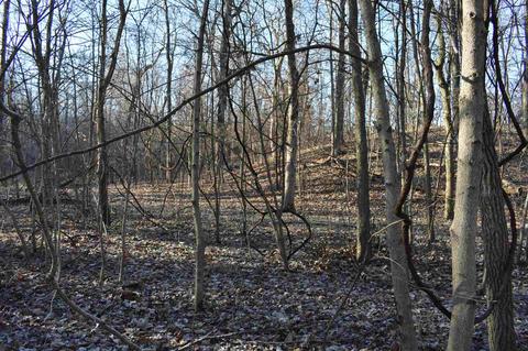 14702 N 200 E Rd, Covington, IN 47932 photo 16