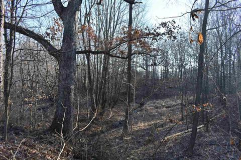 14702 N 200 E Rd, Covington, IN 47932 photo 36