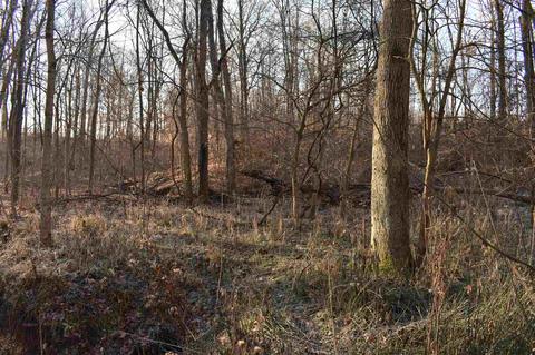 14702 N 200 E Rd, Covington, IN 47932 photo 18