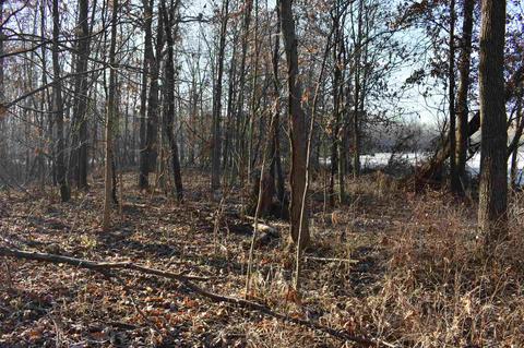14702 N 200 E Rd, Covington, IN 47932 photo 12