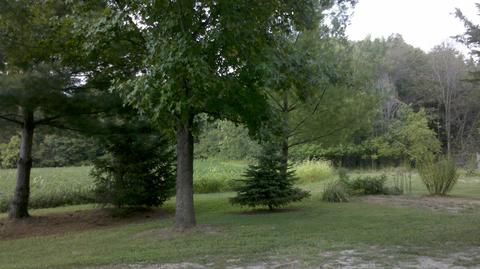 14702 N 200 E Rd, Covington, IN 47932 photo 23