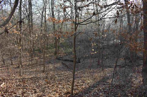 14702 N 200 E Rd, Covington, IN 47932 photo 13