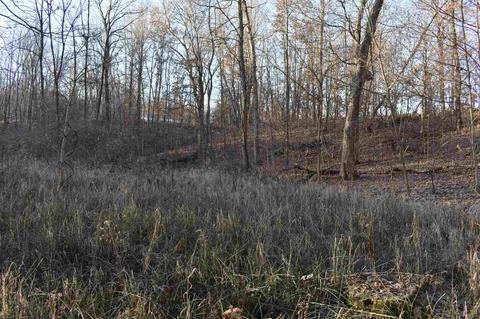14702 N 200 E Rd, Covington, IN 47932 photo 14