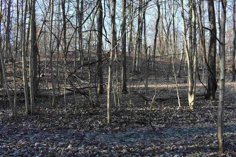 14702 N 200 E Rd, Covington, IN 47932 photo 15