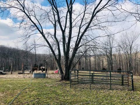 271 Old Vincennes Rd, Mitchell, IN 47446 photo 6
