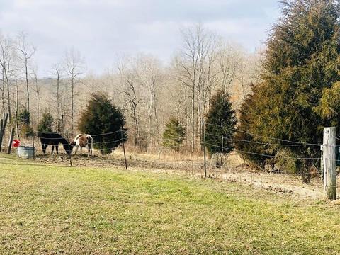 271 Old Vincennes Rd, Mitchell, IN 47446 photo 5