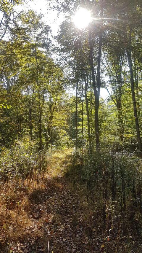 8351 E Hash Rd, Bloomington, IN 47408 photo 32
