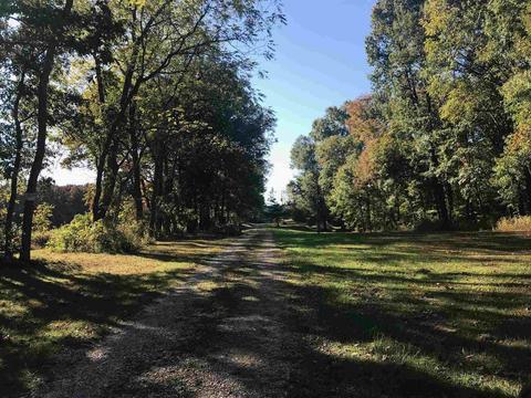 6471 Franklin Rd, Sumner, IL 62466 photo 25