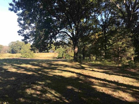 6471 Franklin Rd, Sumner, IL 62466 photo 23