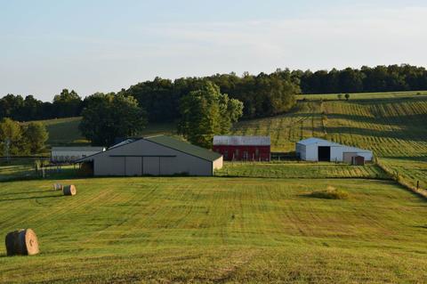 1333 Clark Smith Rd, Mitchell, IN 47446 photo 16