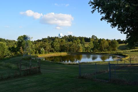 1333 Clark Smith Rd, Mitchell, IN 47446 photo 14