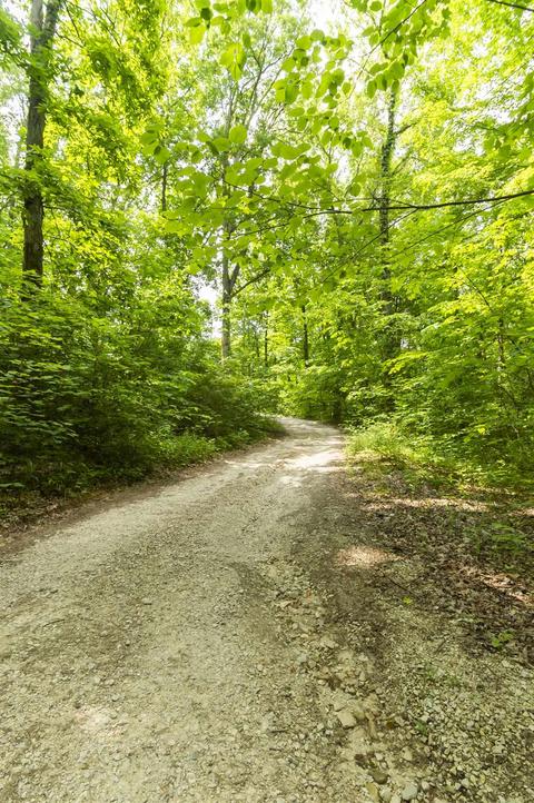 140 Sunset Rdg, Mitchell, IN 47446 photo 31