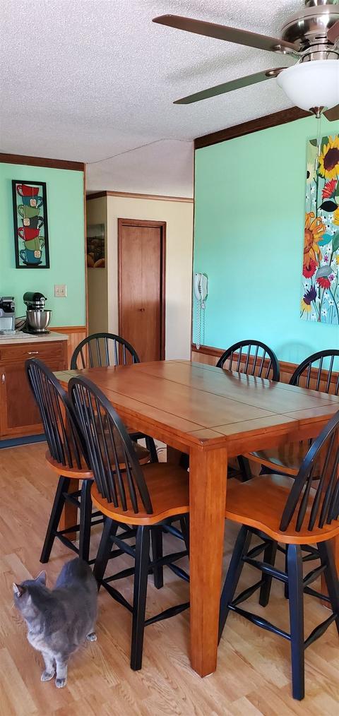 9204 E 1400 N, Odon, IN 47562 photo 4