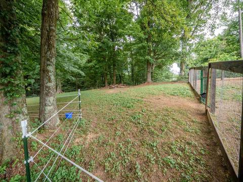 3473 Bufkin Springfield Rd, Mount Vernon, IN 47620 photo 28