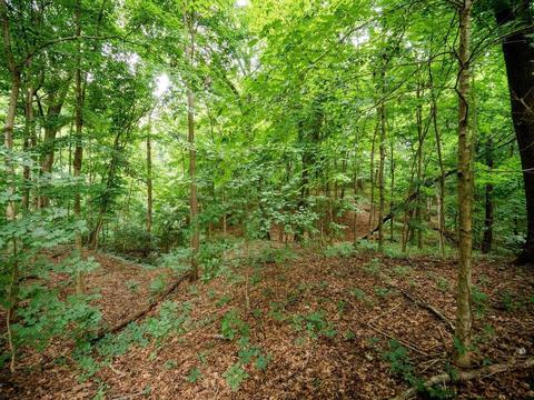 3473 Bufkin Springfield Rd, Mount Vernon, IN 47620 photo 29