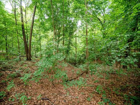 3473 Bufkin Springfield Rd, Mount Vernon, IN 47620 photo 30