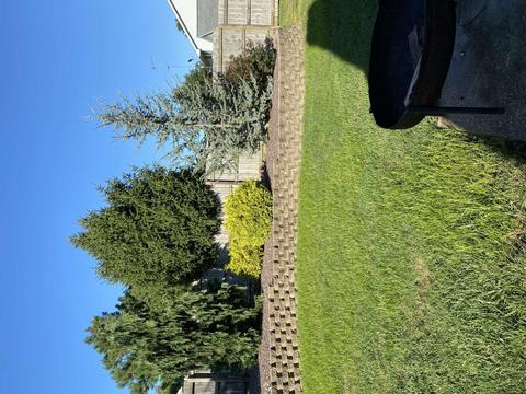 2410 Pine Dr, Ferdinand, IN 47532 photo 24