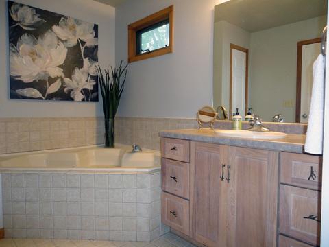 50835 Oakbridge Ct, Granger, IN 46530 photo 17